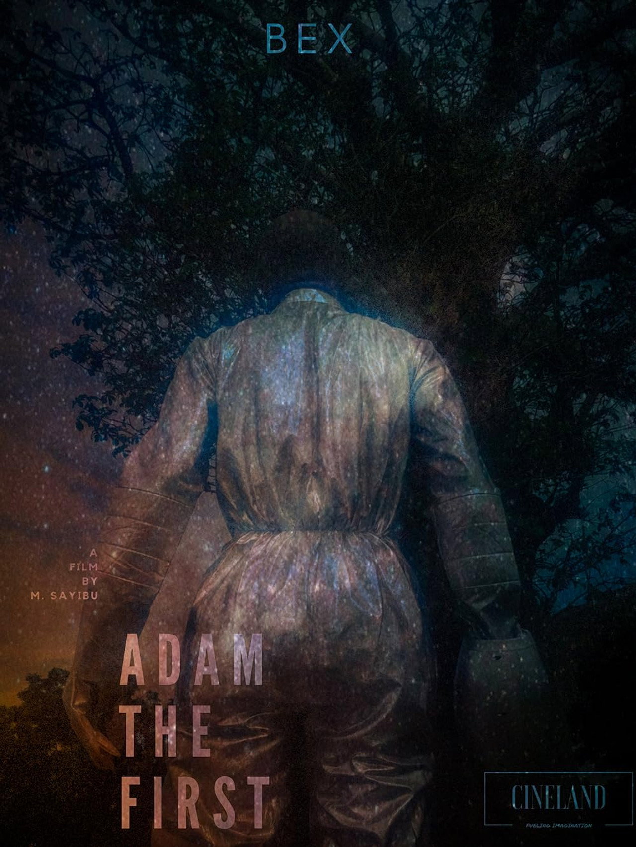 Adam the First filmaffisch