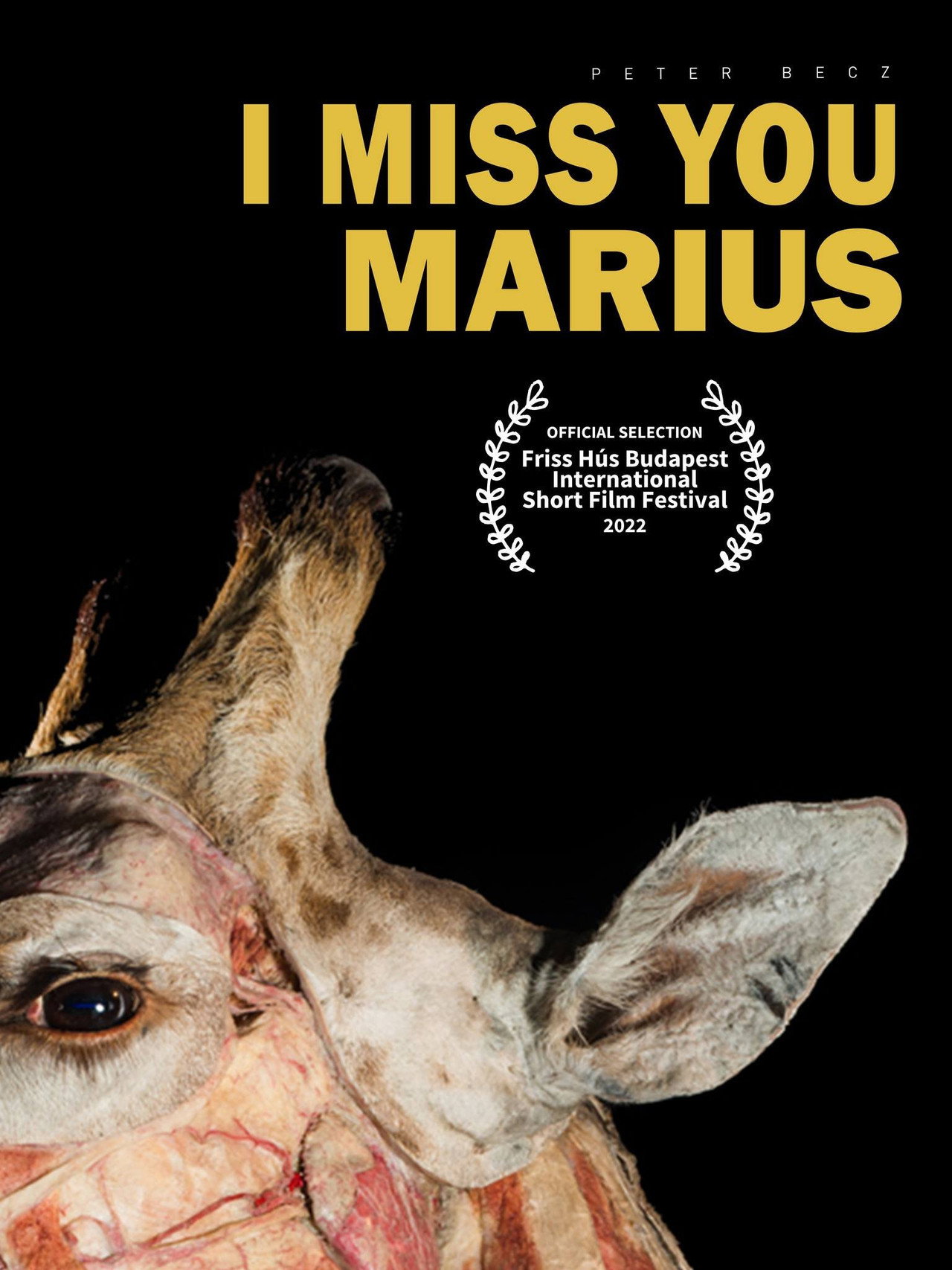 I Miss You, Marius