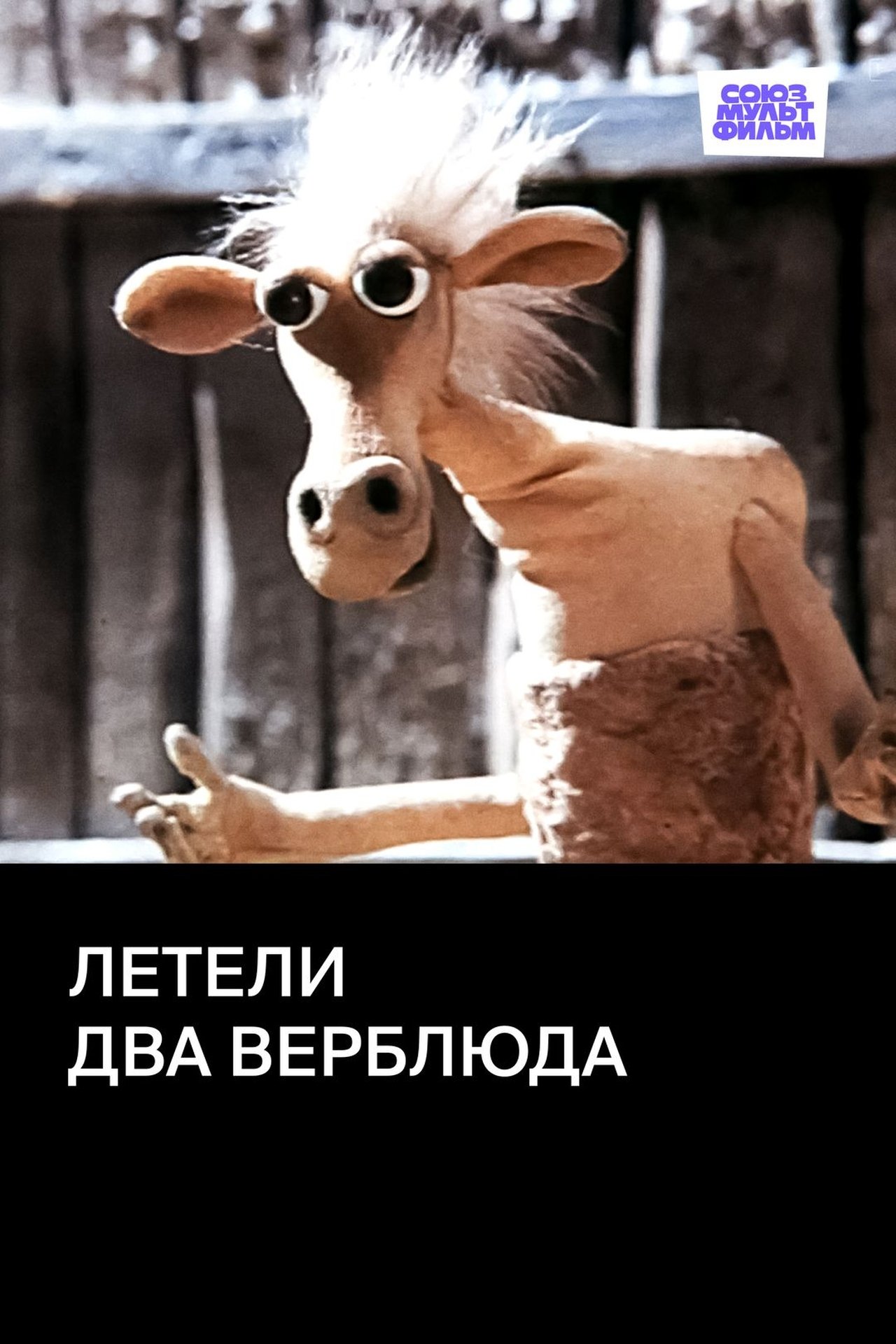 مشاهدة فيلم Two Camels Were Flying مترجم بدون اعلانات - بوستر