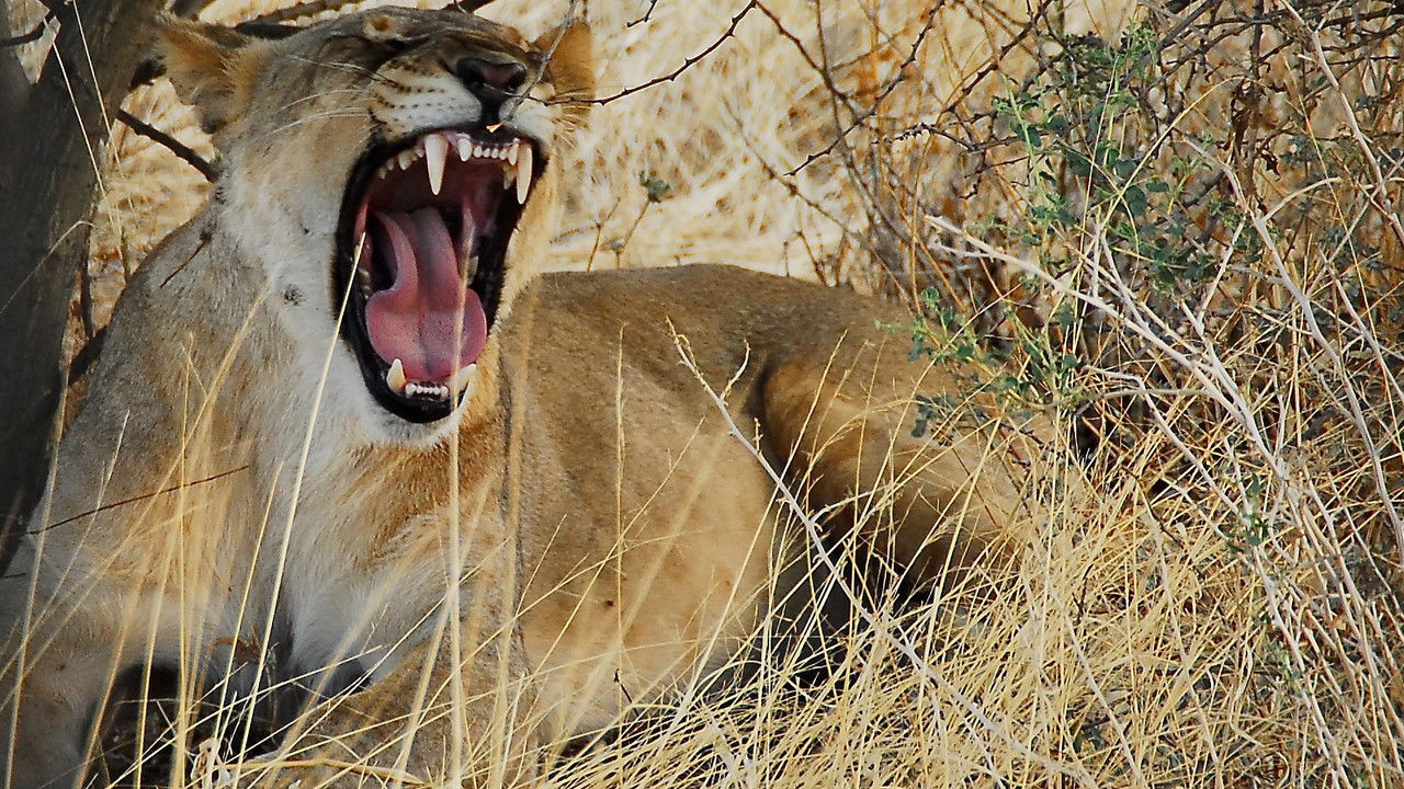 Deadly 60 — Épisode 10