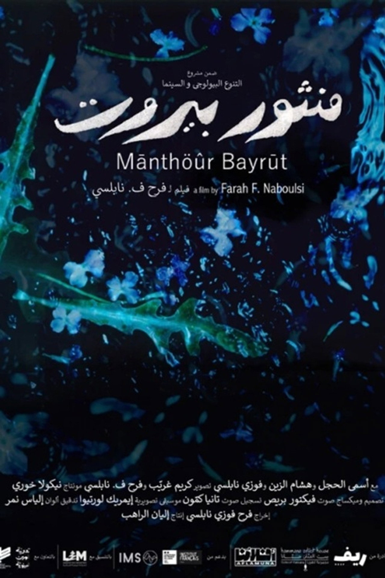 منثور بيروت
