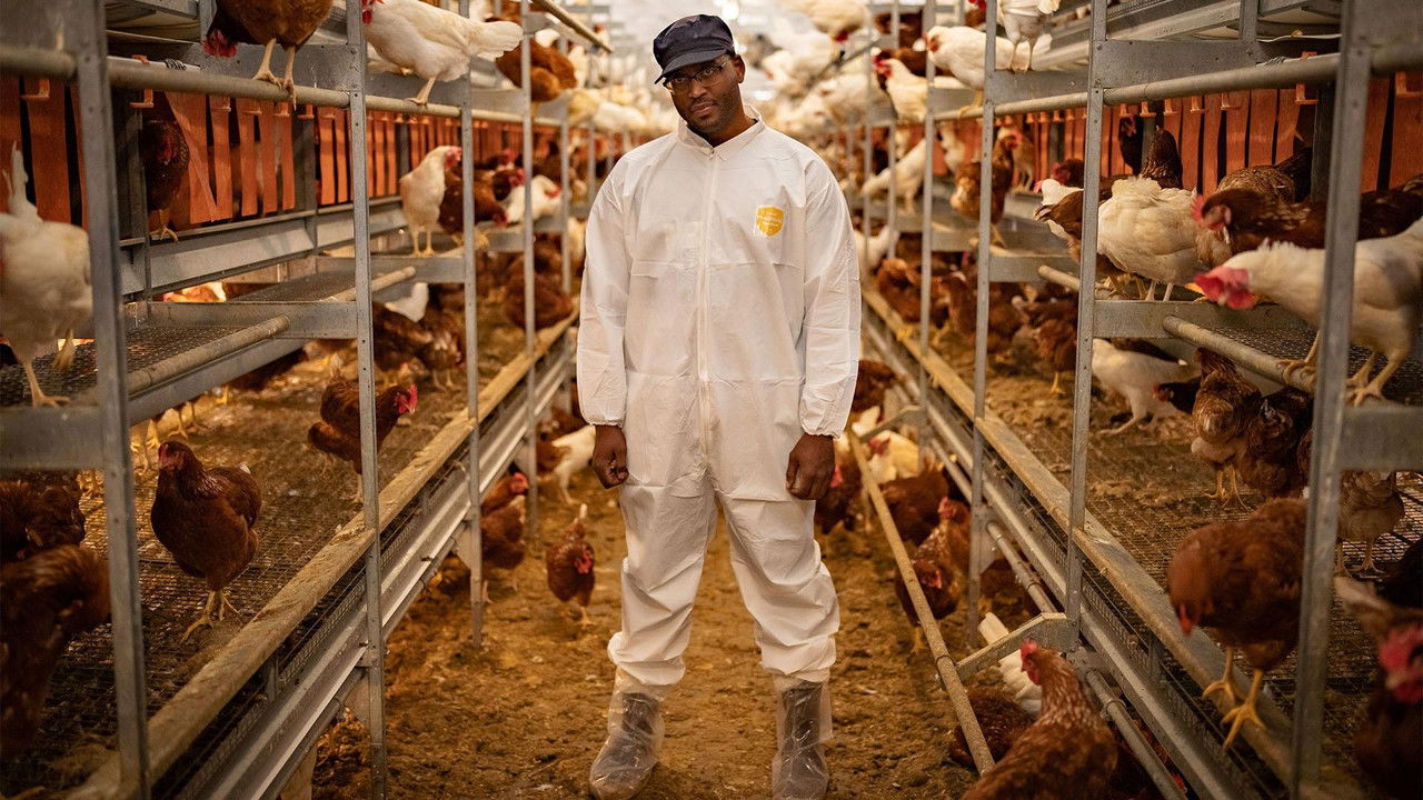 Human Footprint — Épisode 4