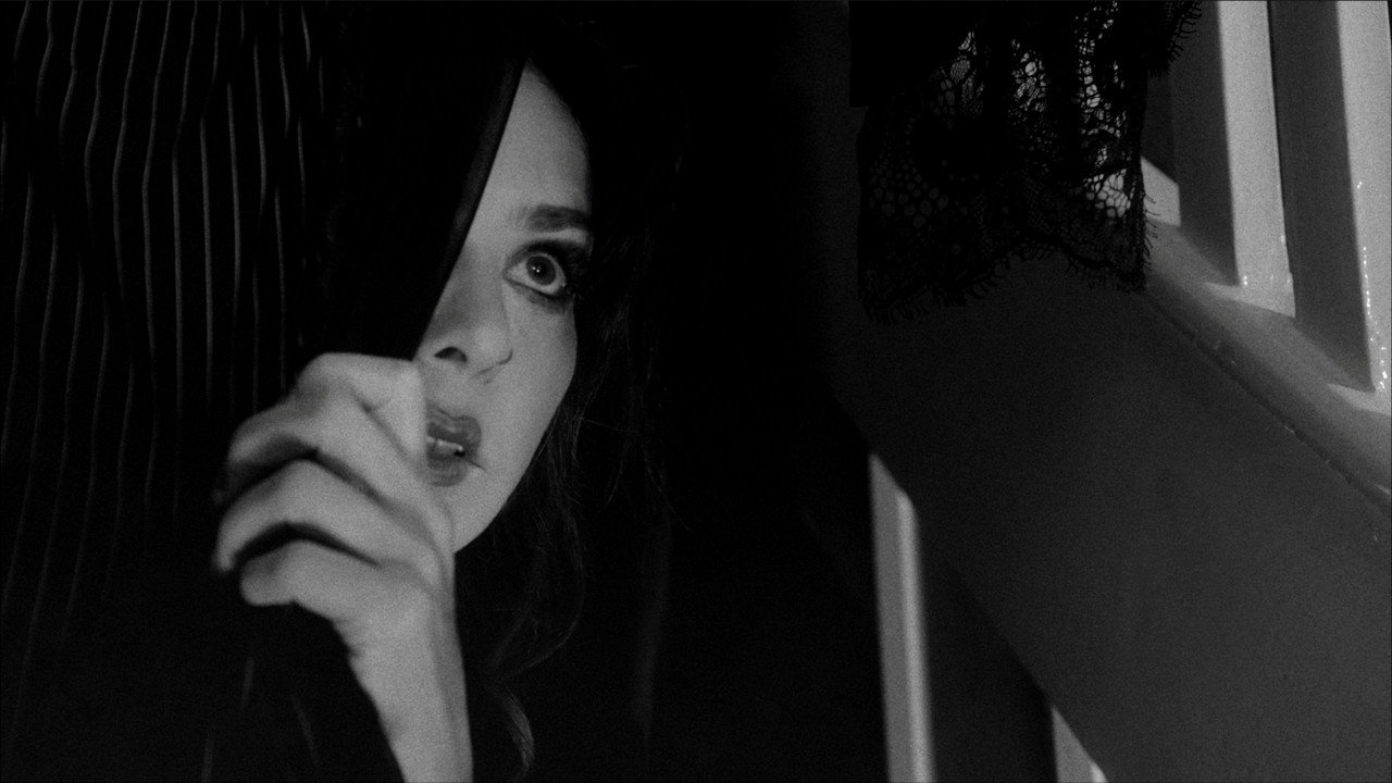 Electric Meat still 12