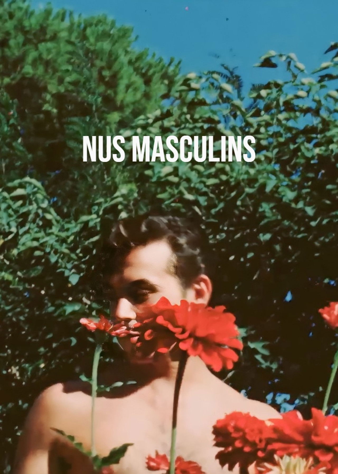Nus Masculins poster