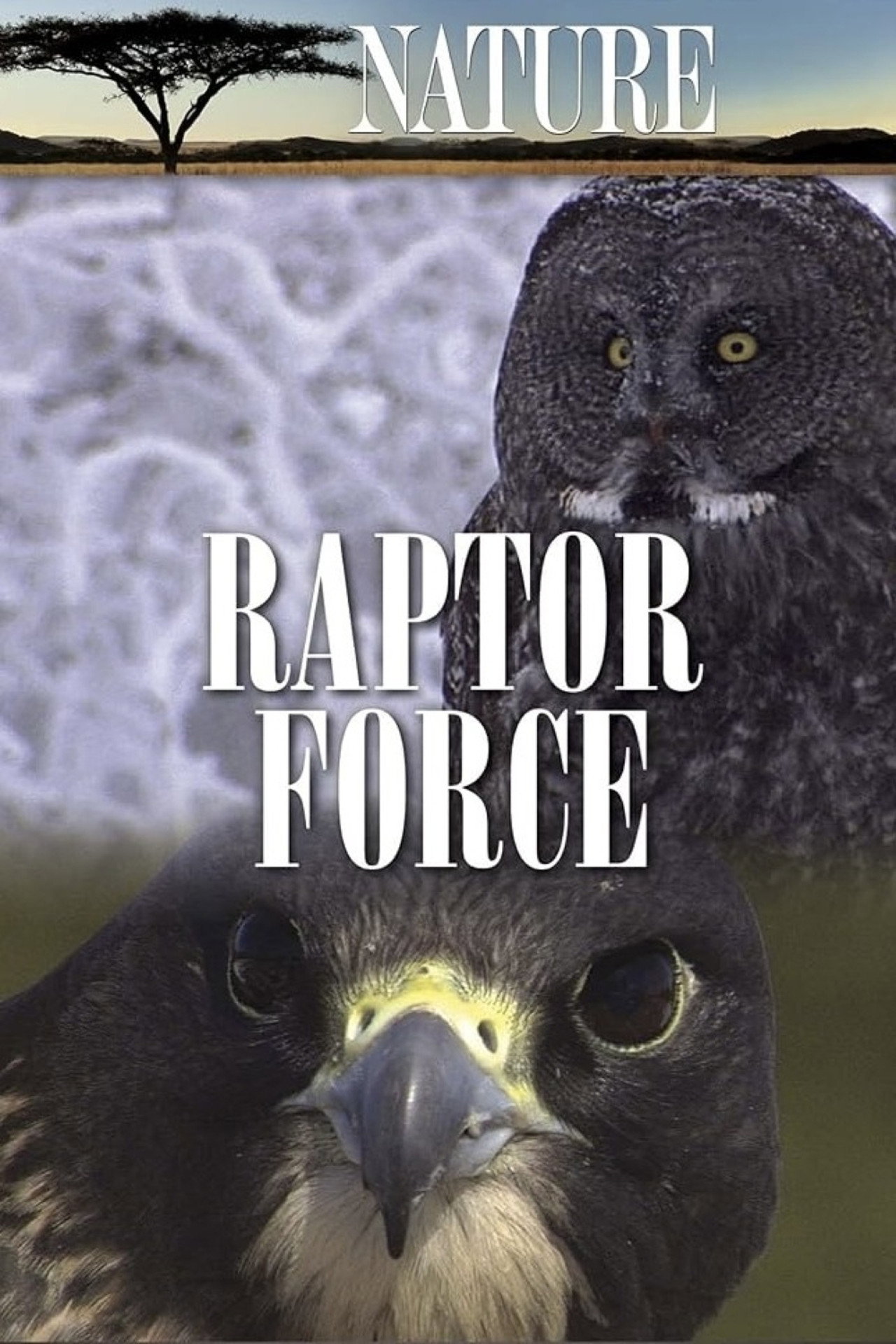 Raptor Force filmaffisch