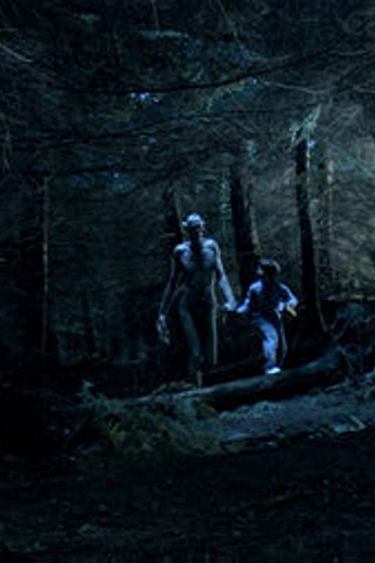 Ordan's Forest Ordan's Forest