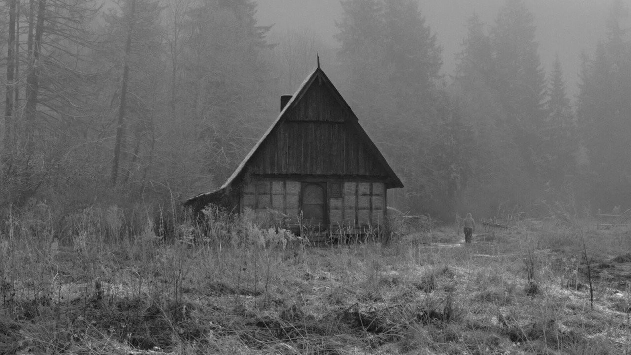 Galerie du film — 19