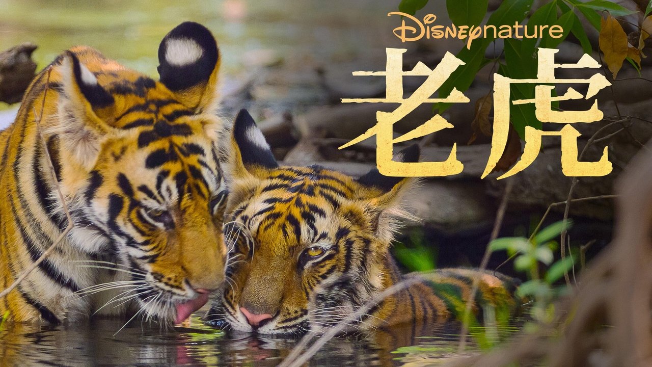 title image
