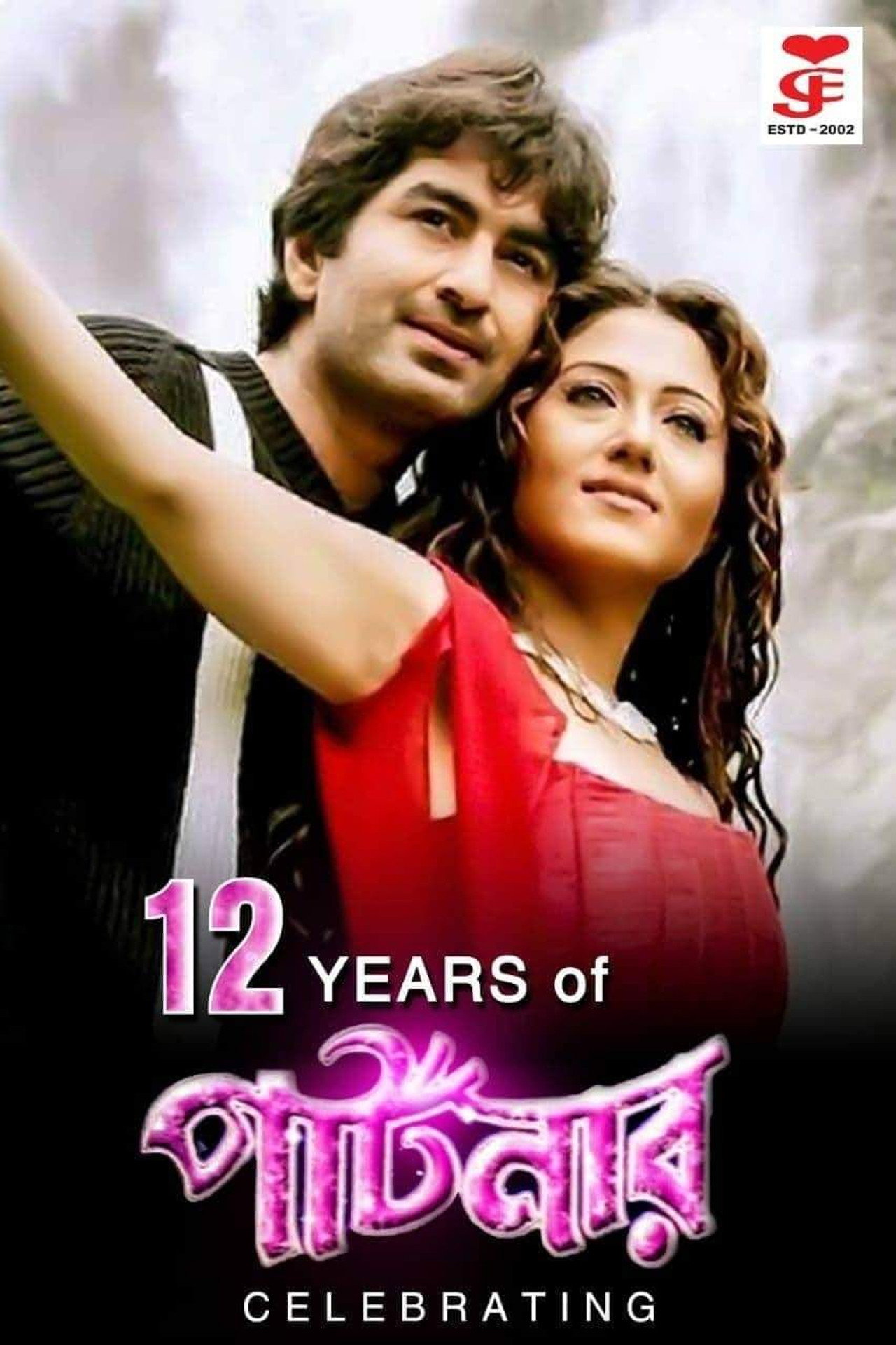 পার্টনার filmaffisch
