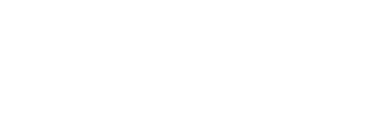 Секретное досье