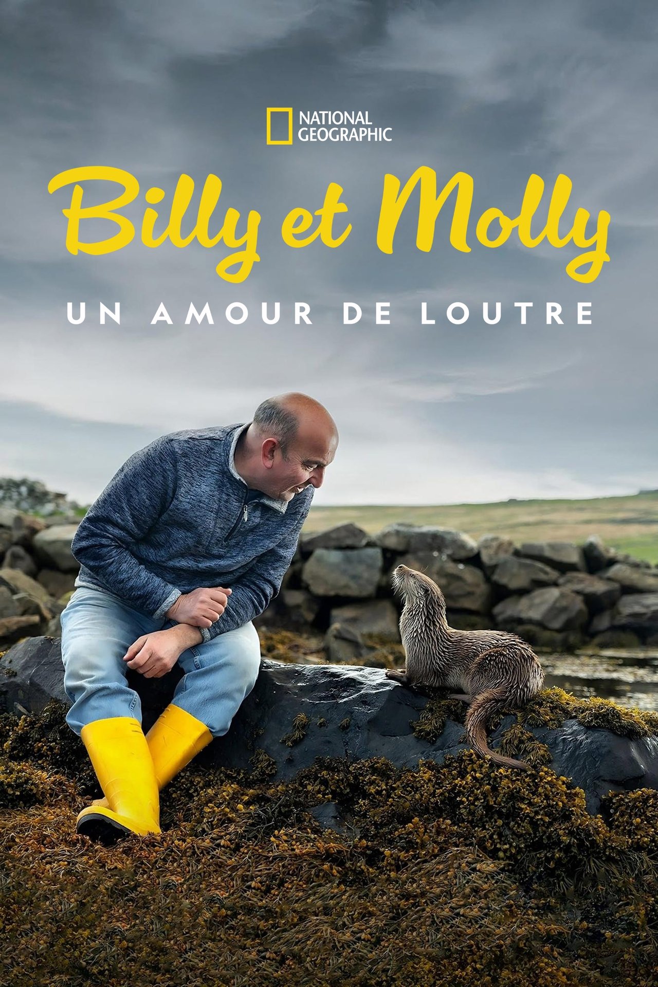 Billy et Molly : Un amour de loutre poster