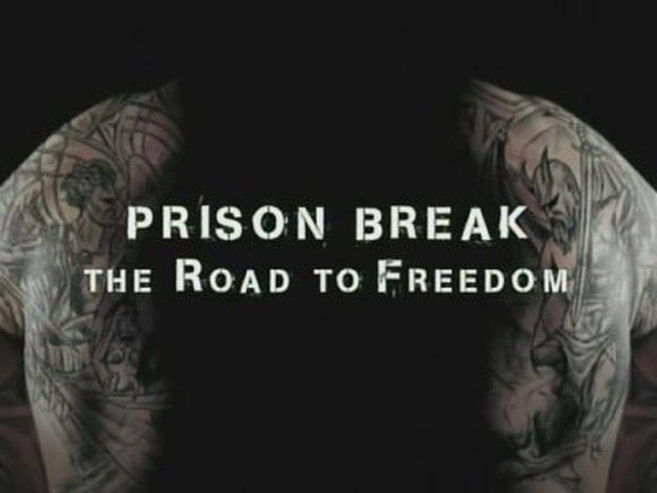 Prison Break - Season 0 Episode 6 : The Road to Freedom