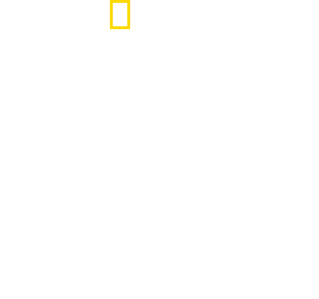Inside the SS