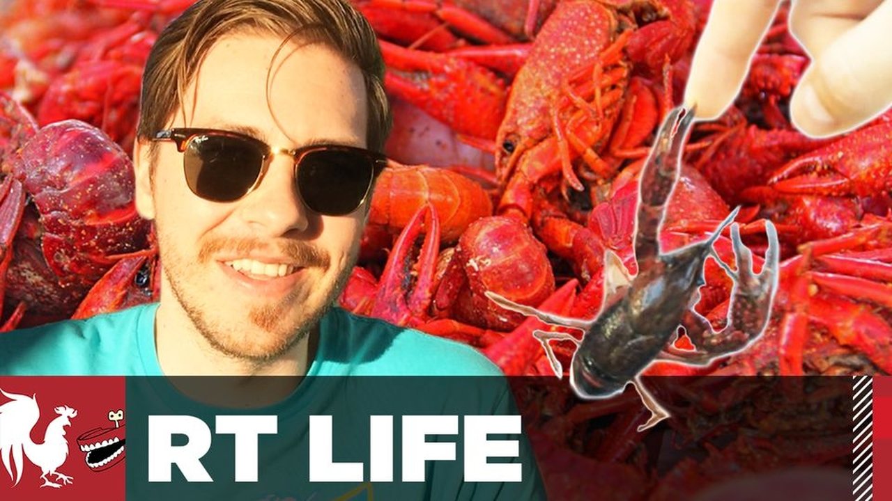 RT Life - Season 6 Episode 8 : Not Poop