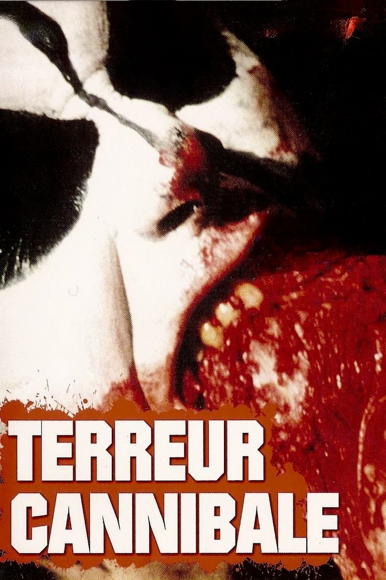 Terreur cannibale poster