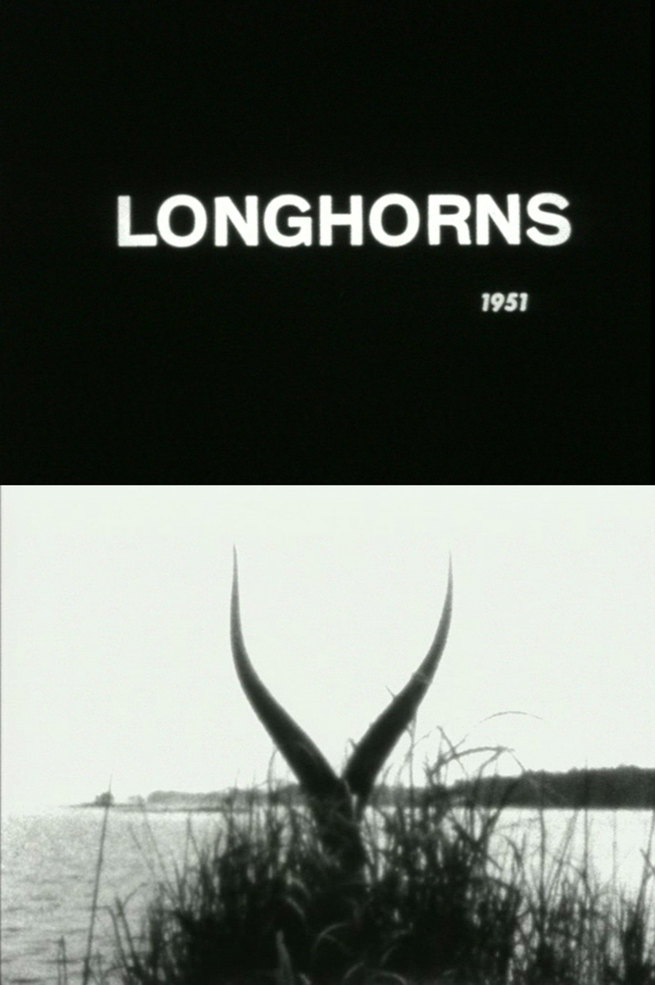 Longhorns filmaffisch