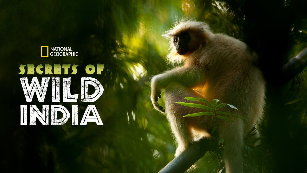 Secrets of Wild India background