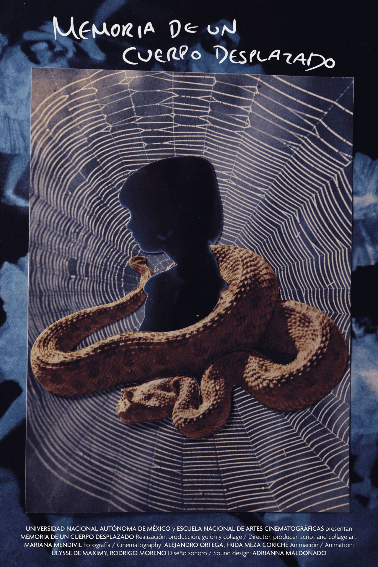 Memory of a Displaced Body poster