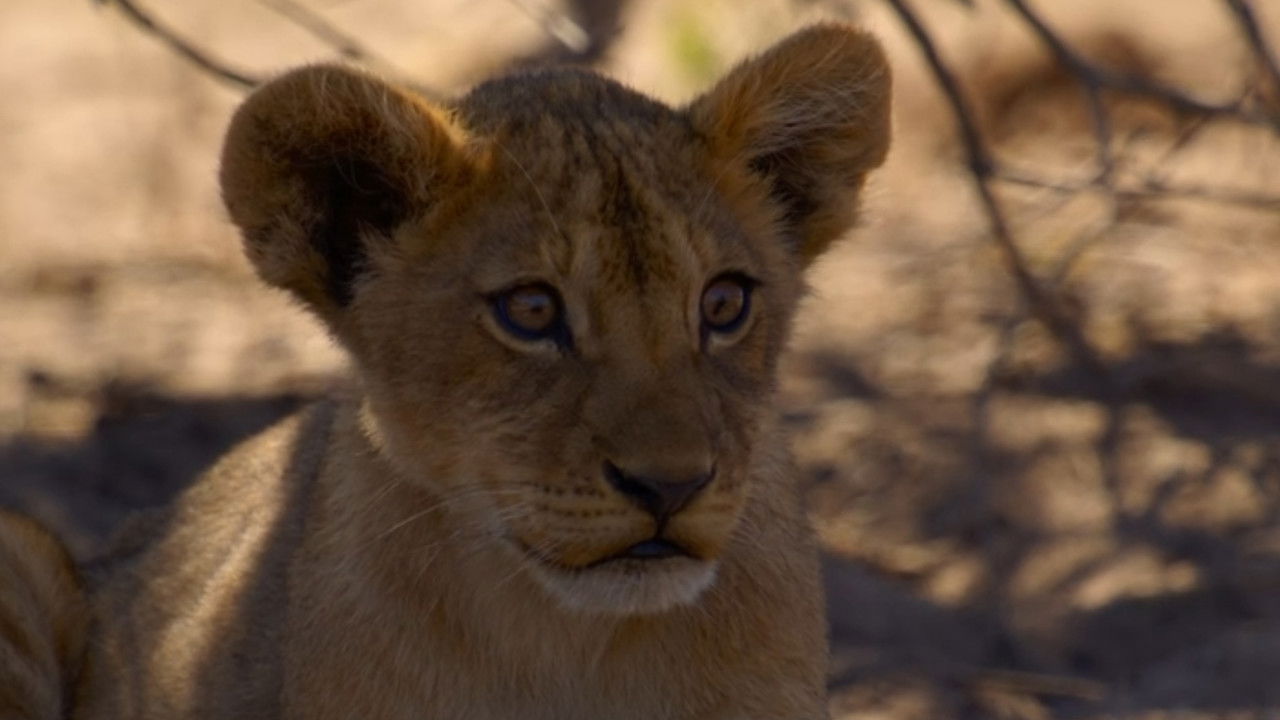 Pride Rules — Épisode 4