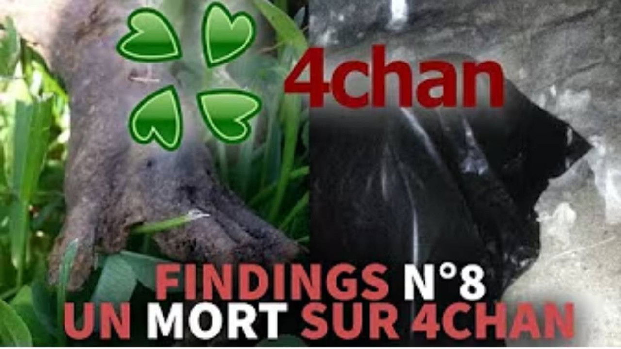 Findings — Un MORT sur 4chan - Le mystère d'alex de tenessee - Findings N°8
