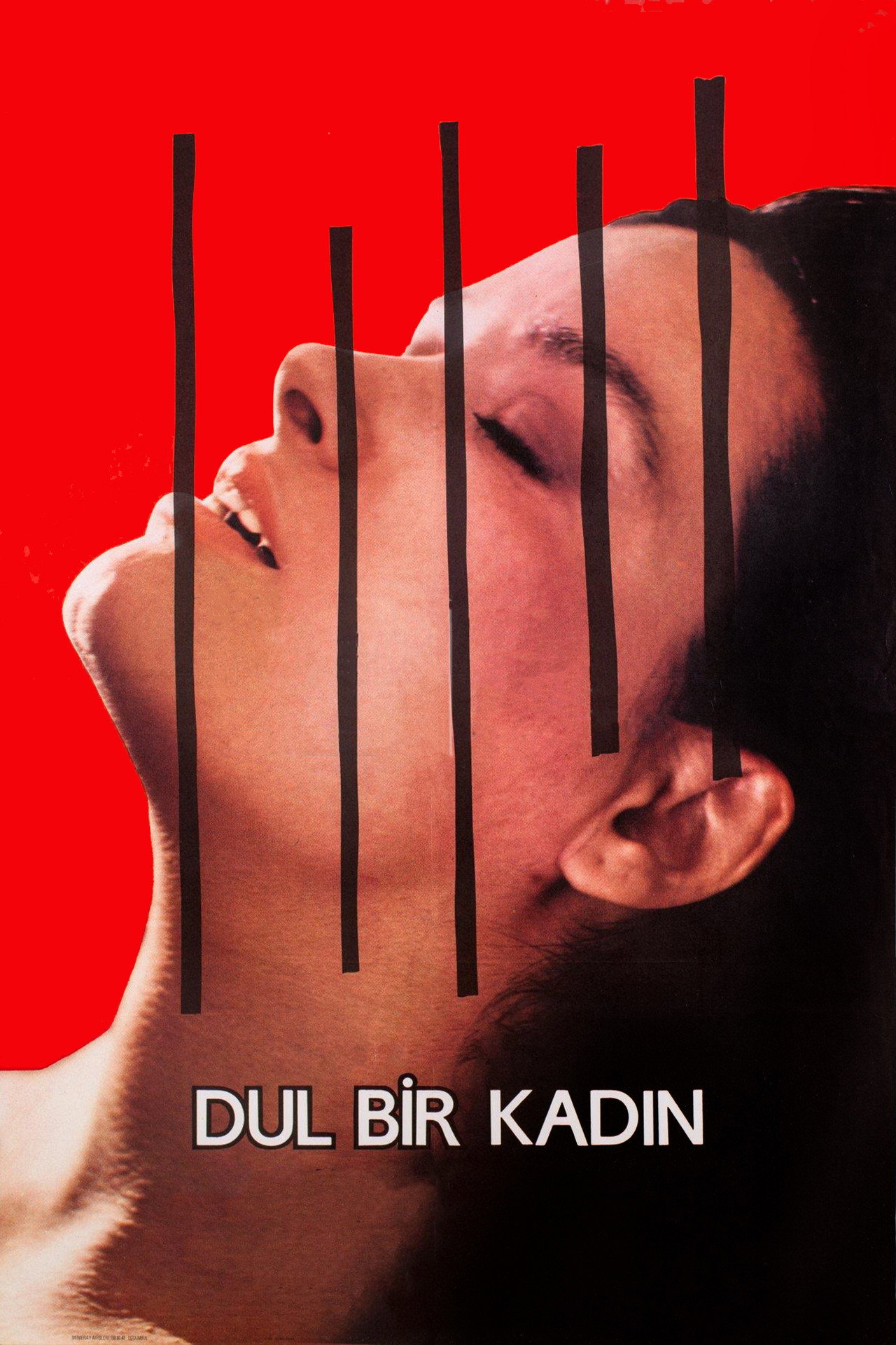 Dul Bir Kadın filmaffisch
