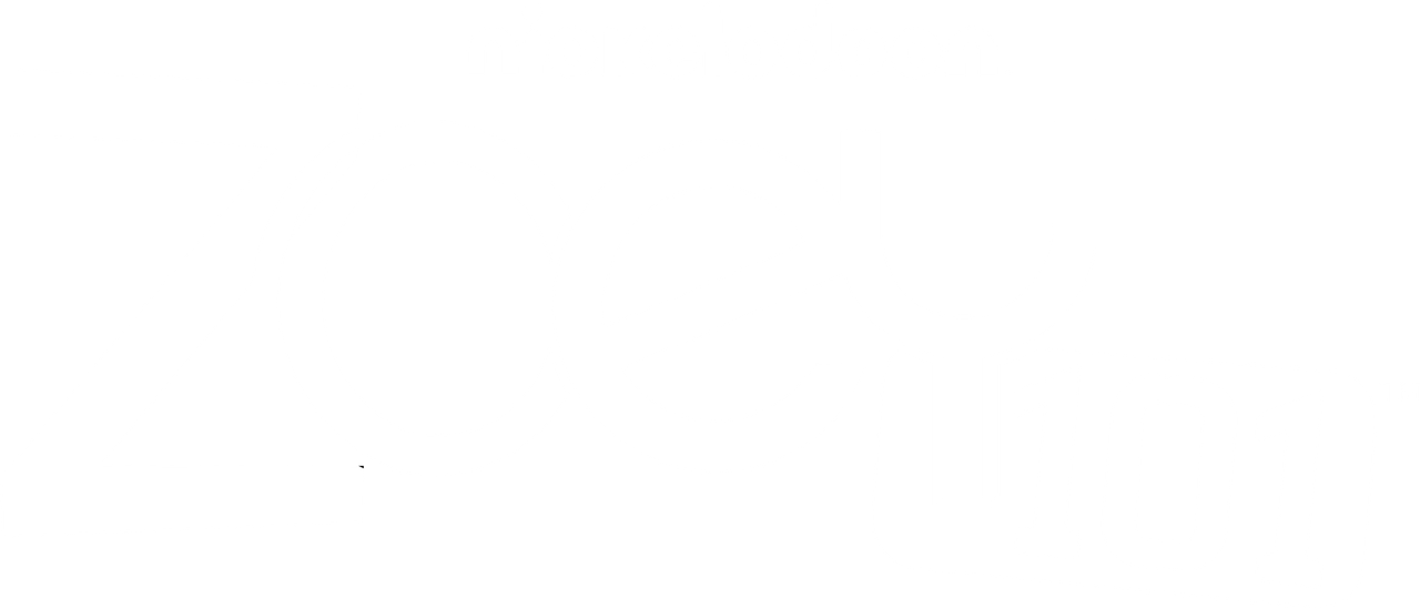 Зоуи 101