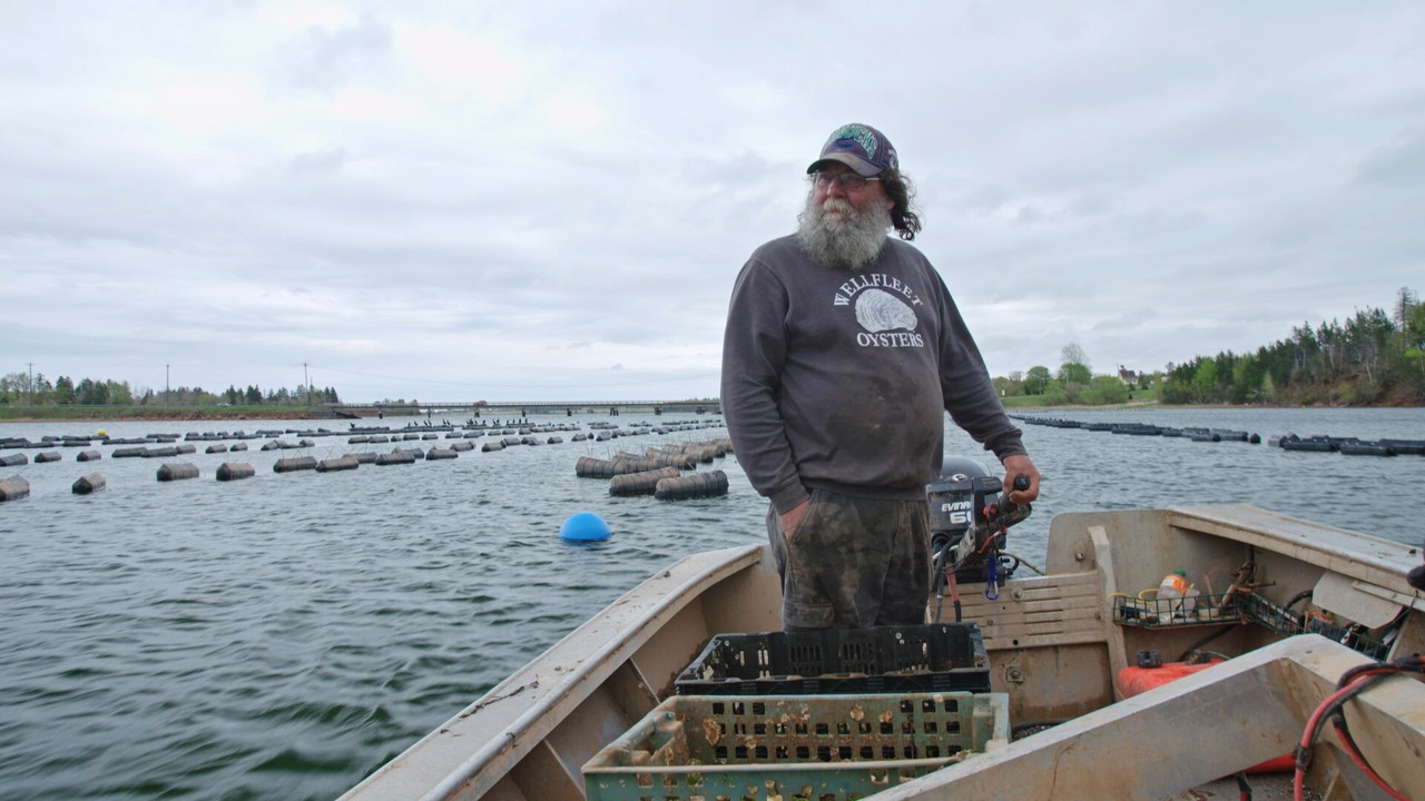 Farm Crime — Épisode 3