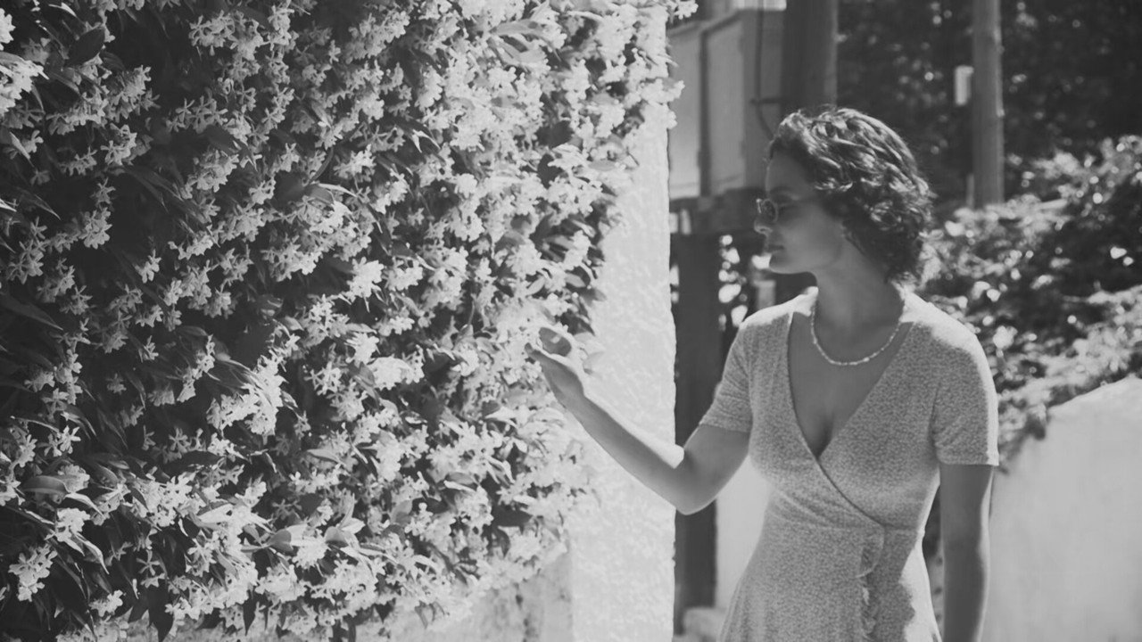 Palirroia still 3