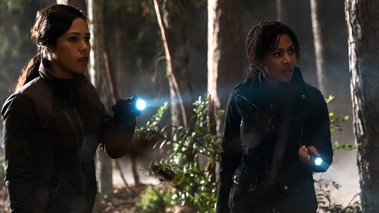 Sleepy Hollow - Season 3 Episode 14 : Into the Wild