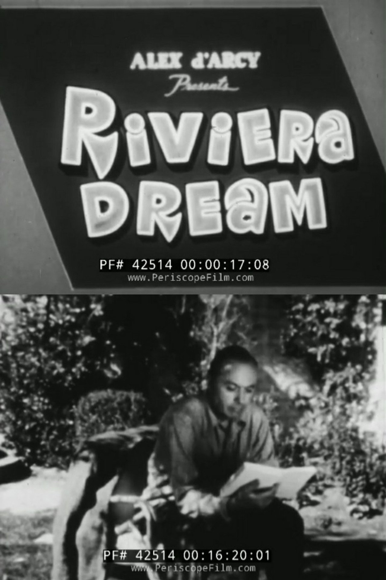 Riviera Dream