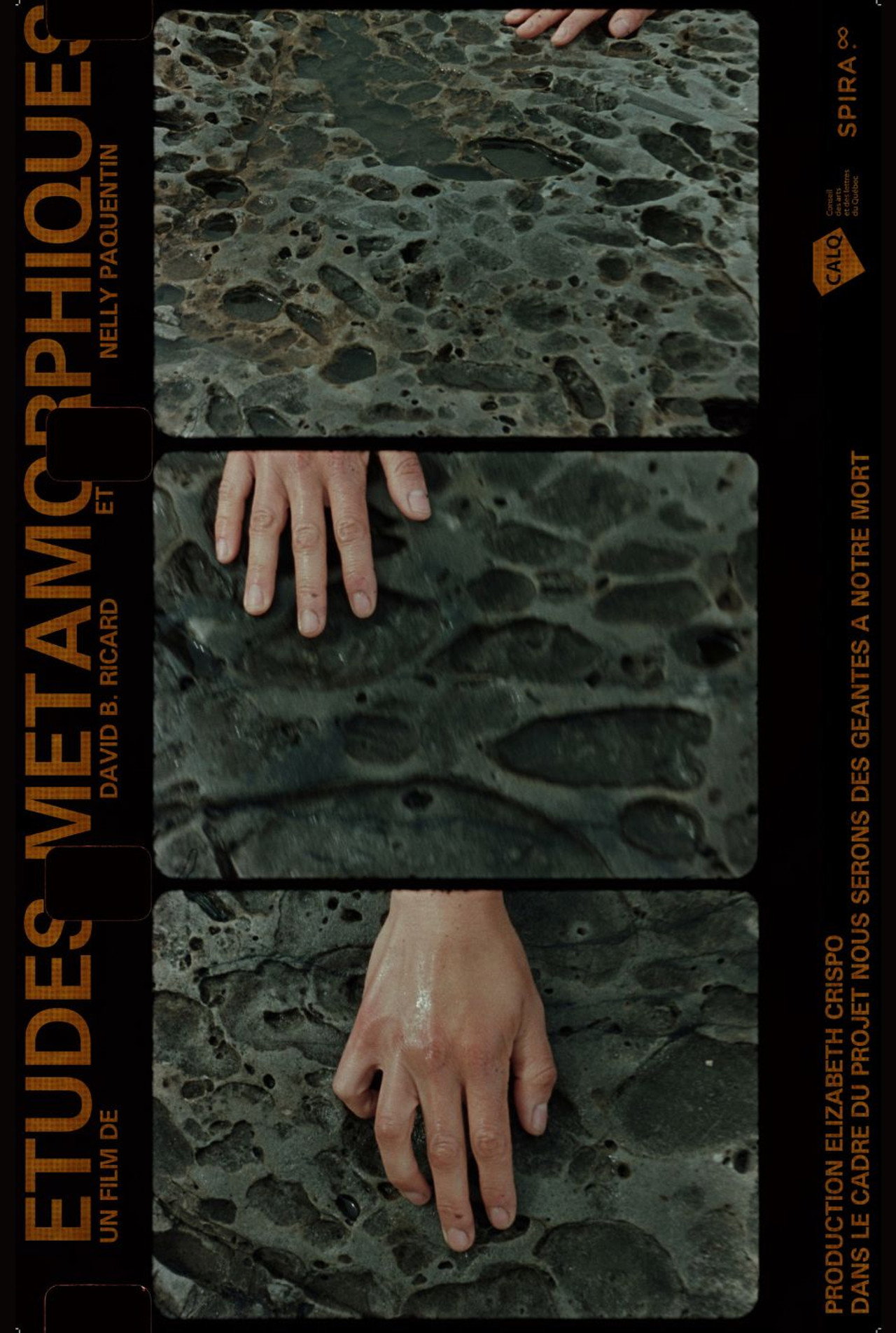 Études Métamorphiques filmaffisch