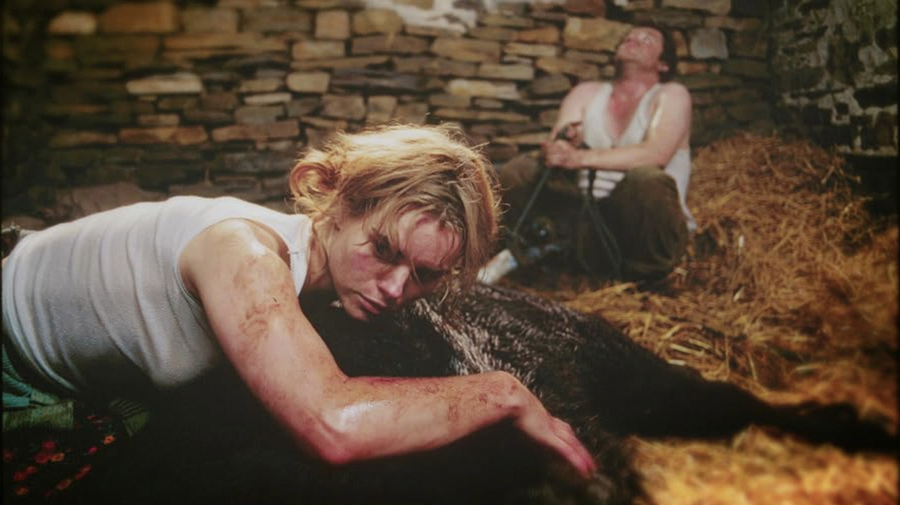 This Filthy Earth backdrop