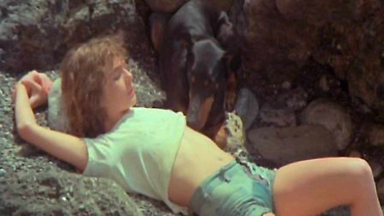 Dog Lay Afternoon (1976)