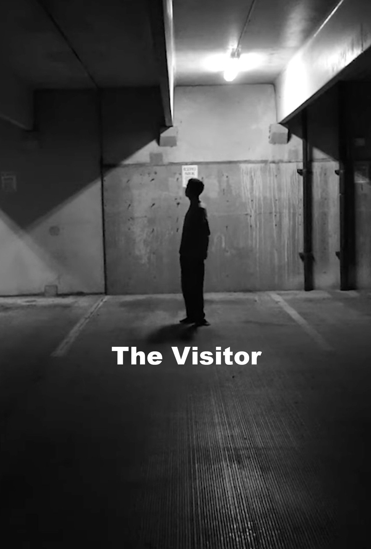 The Visitor
