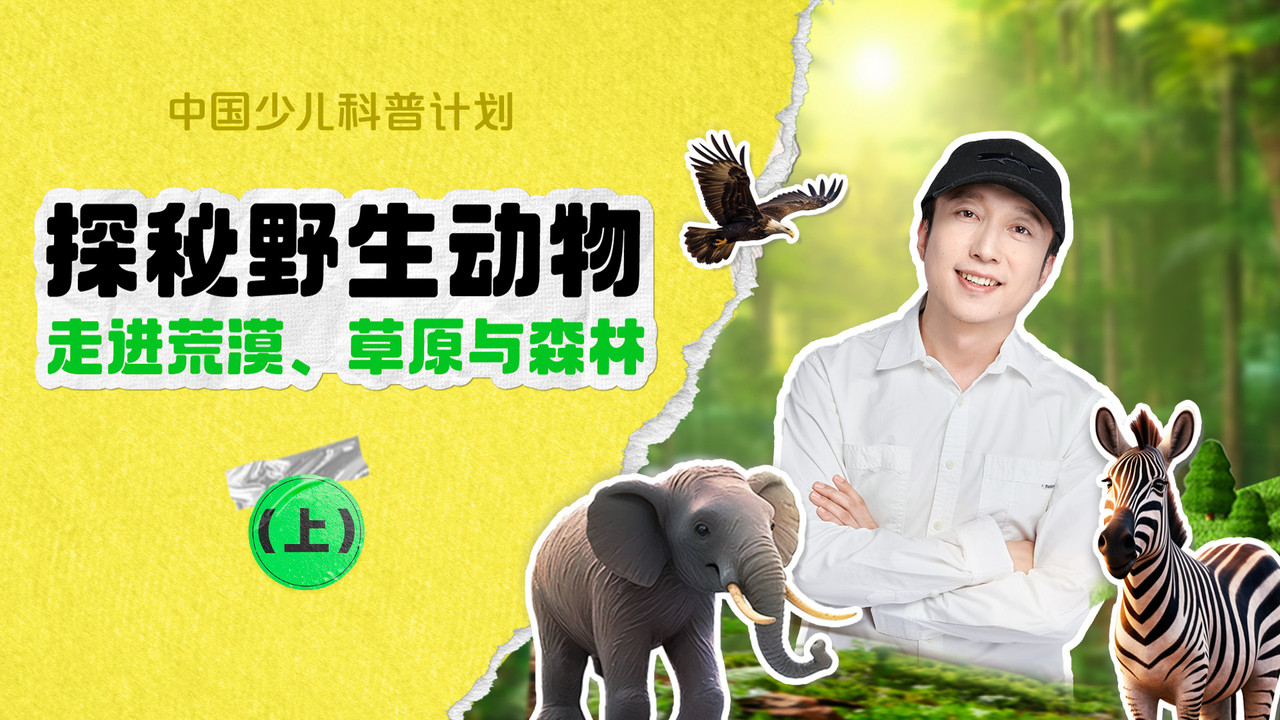 斑马百科探索 — Épisode 3