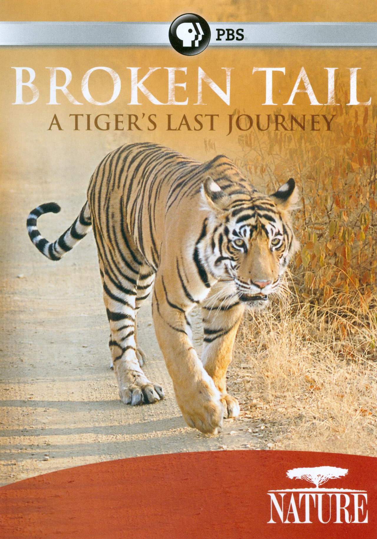 Broken Tail: A Tiger's Last Journey filmaffisch
