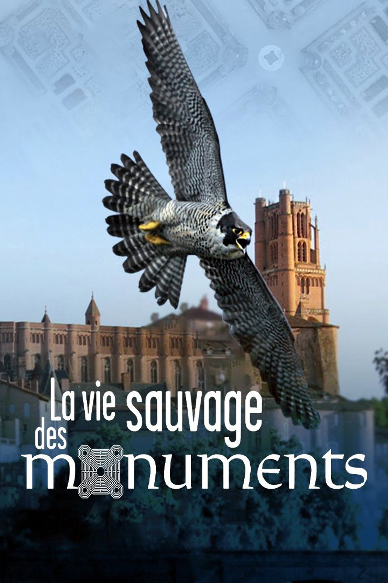 La Vie sauvage des monuments filmaffisch
