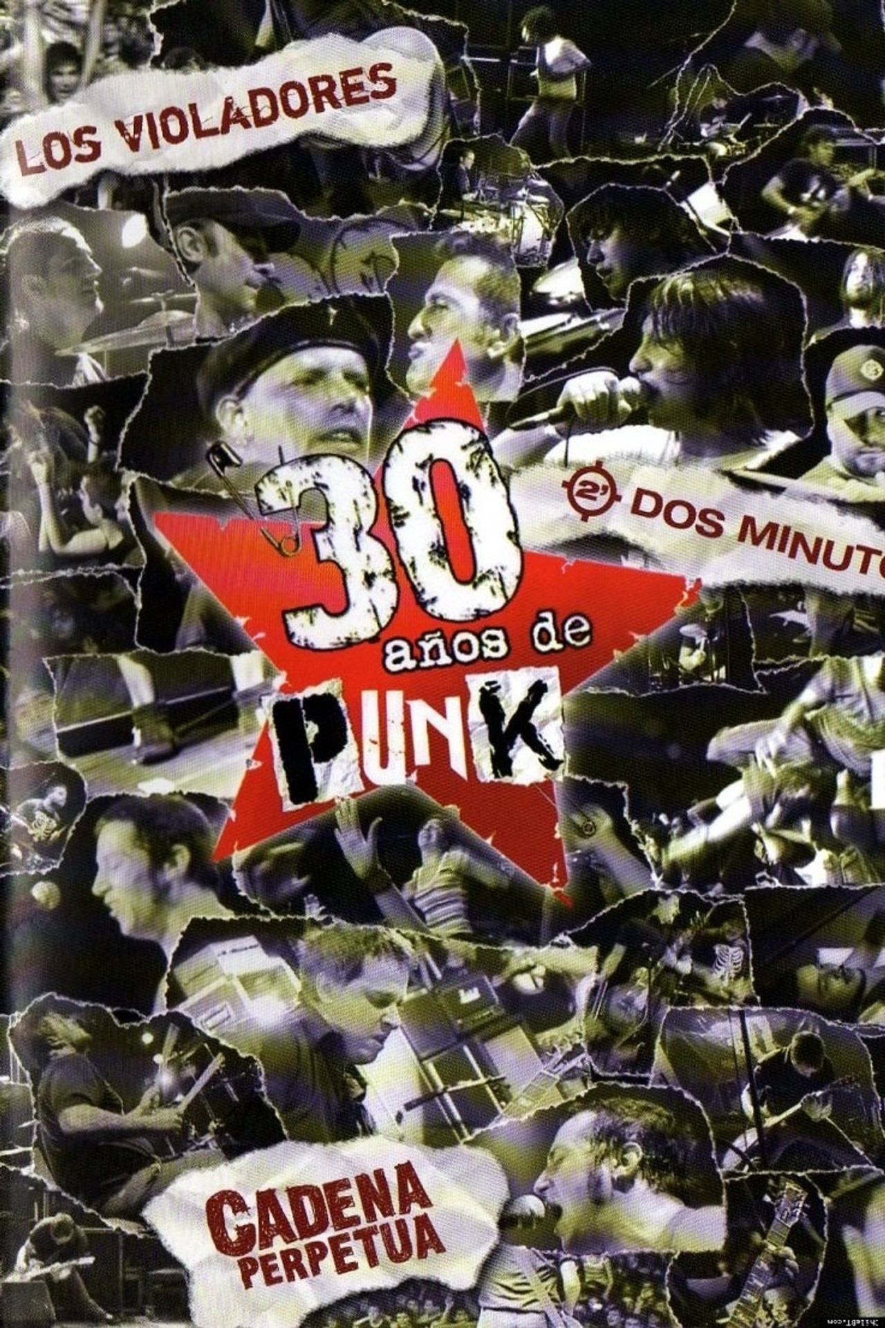 30 años de punk filmaffisch