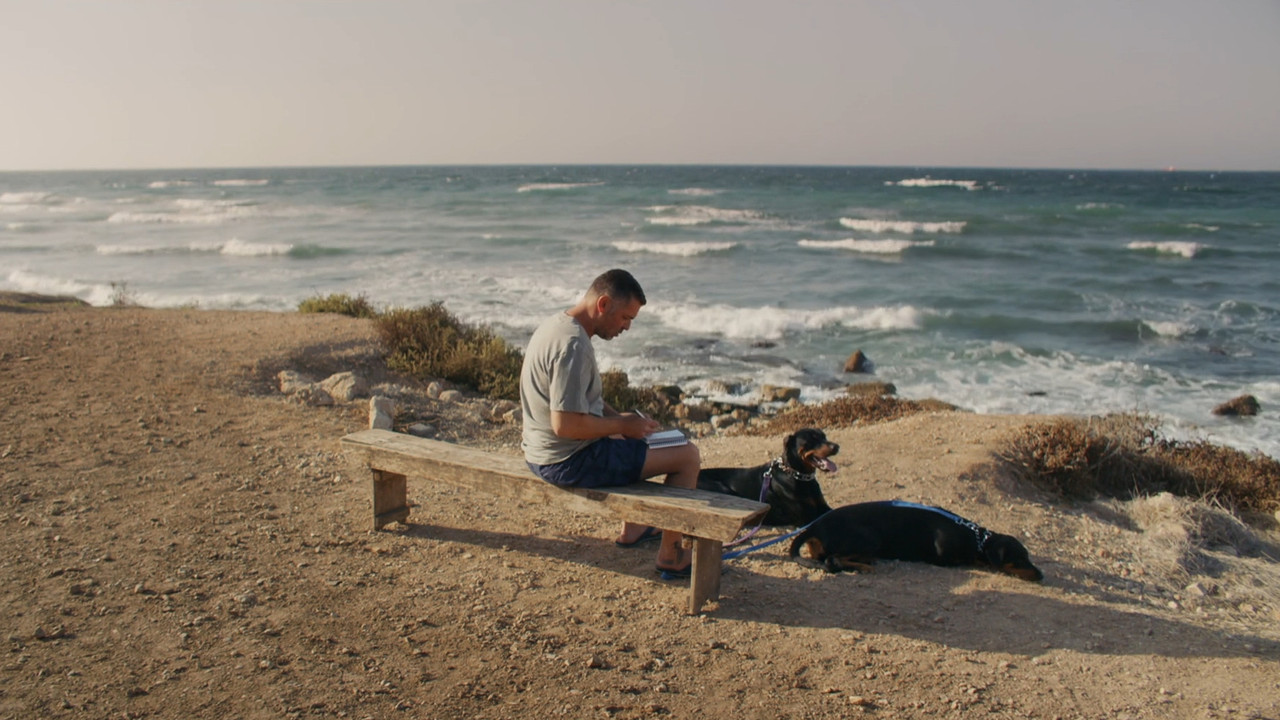 Mediterranean Fever backdrop