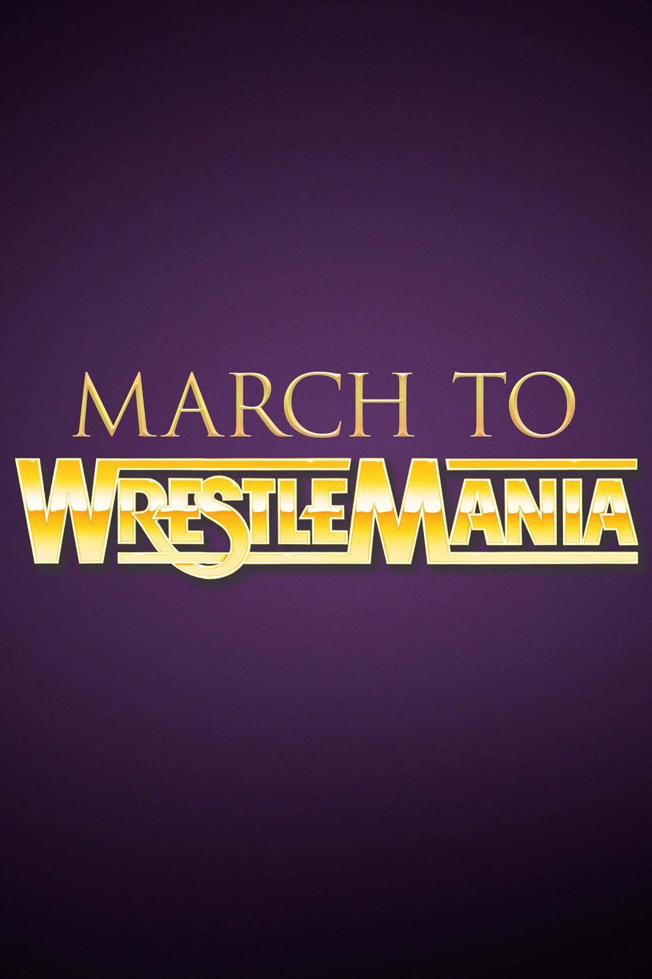 WWE March to WrestleMania X poster