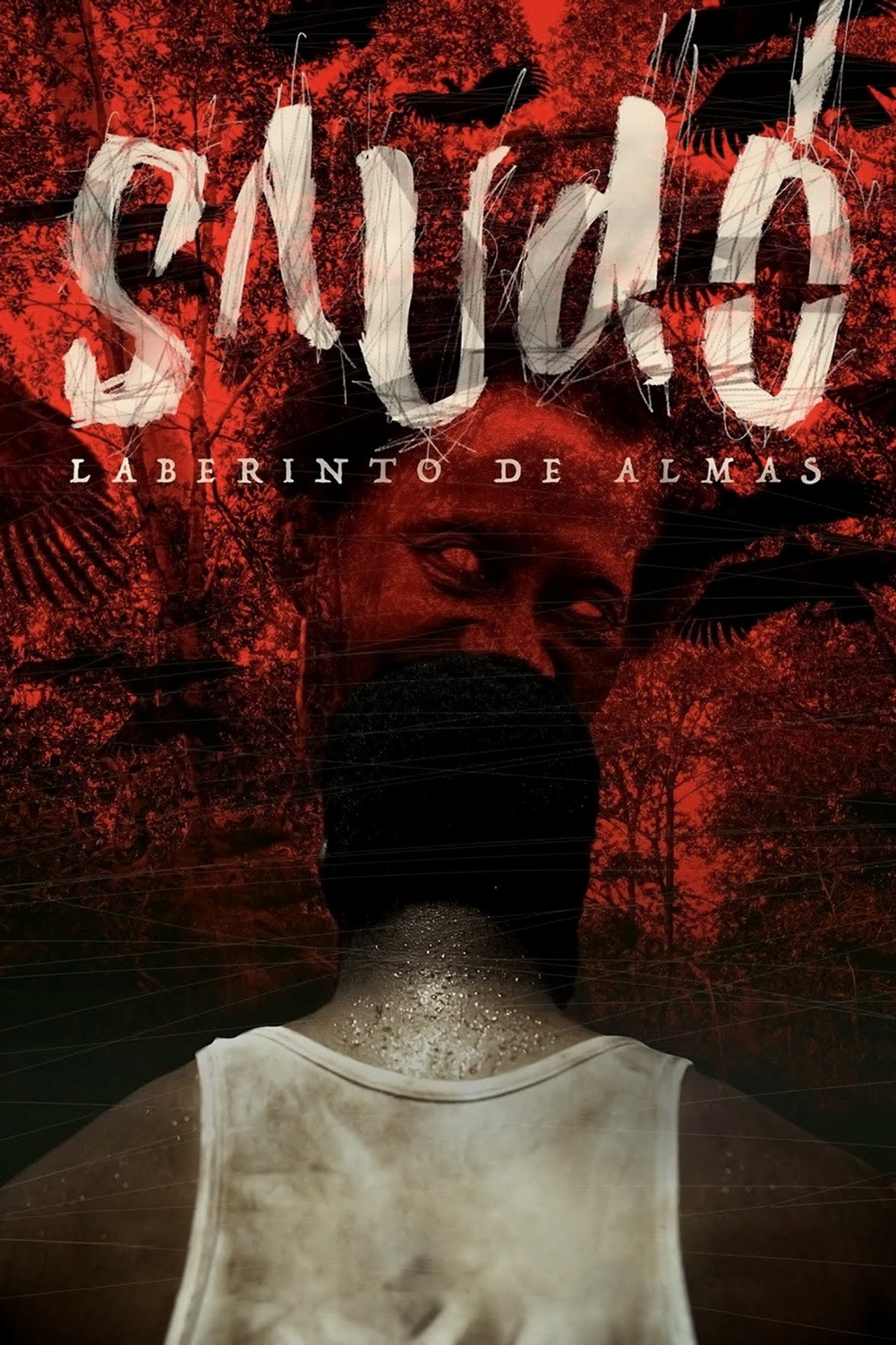 Saudó, laberinto de almas filmaffisch