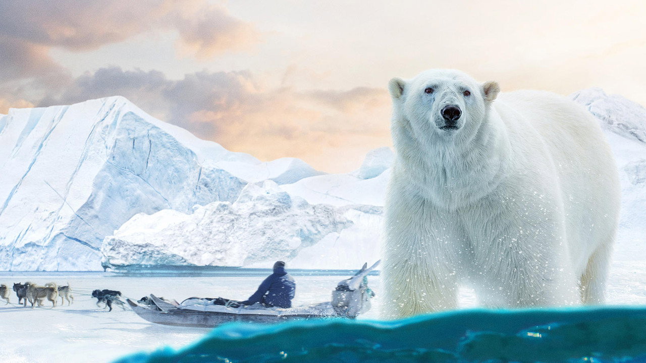 Arctic: Our Frozen Planet
