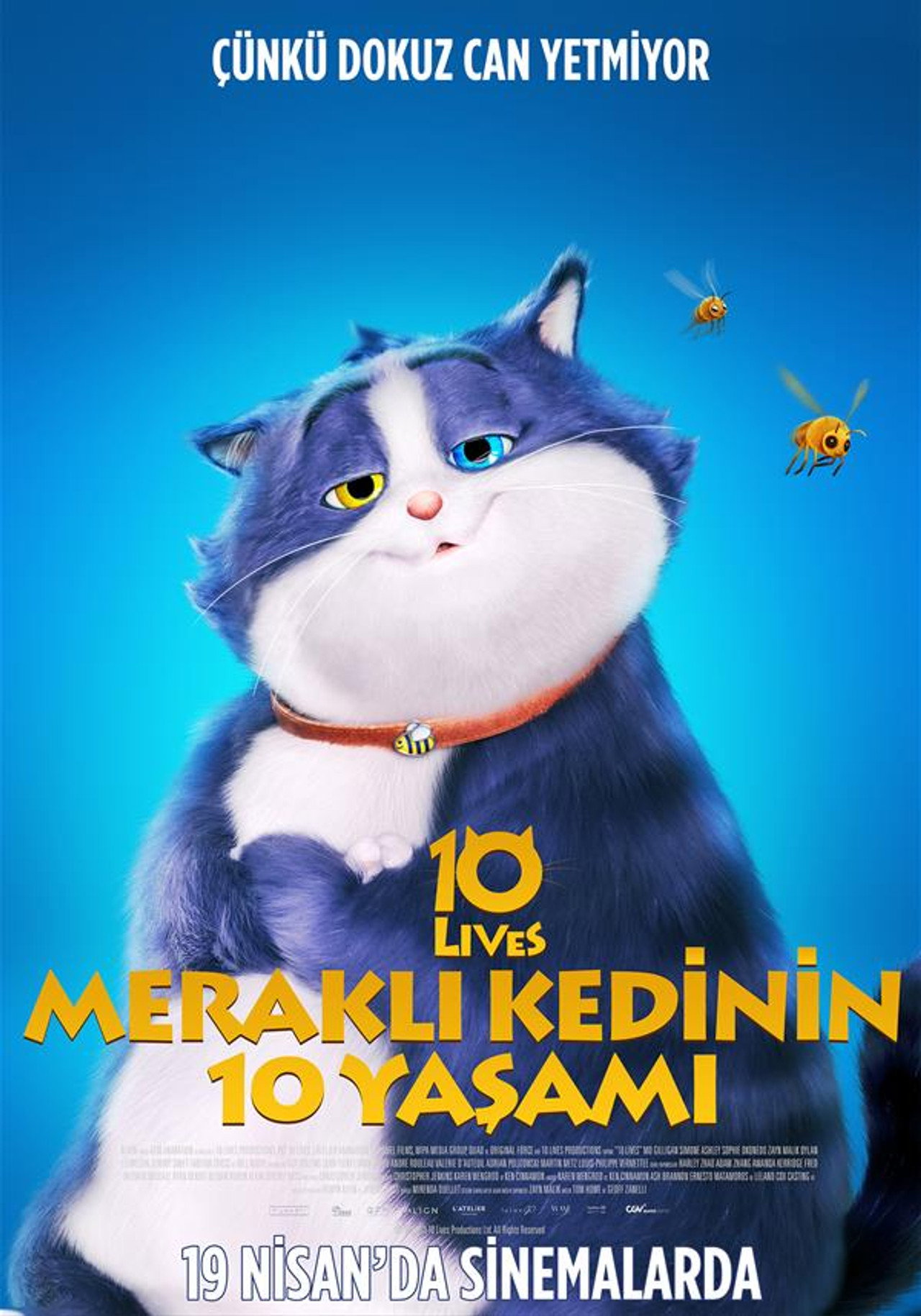 Meraklı Kedinin 10 Yaşamı Poster