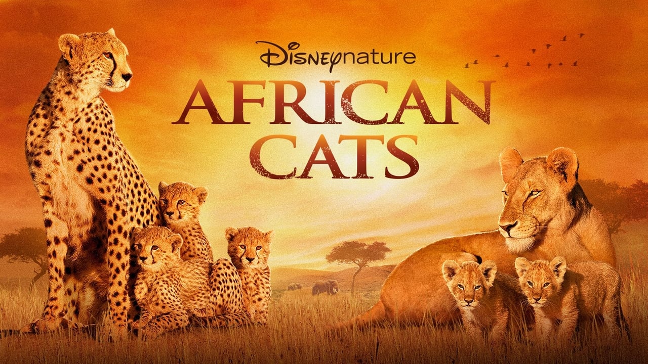 African Cats background