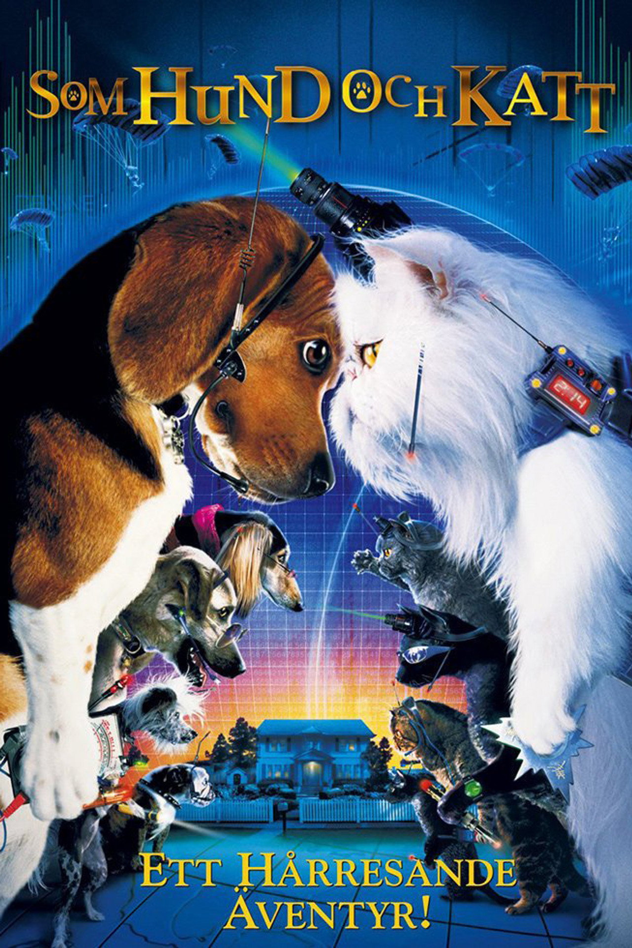 Som hund och katt filmaffisch