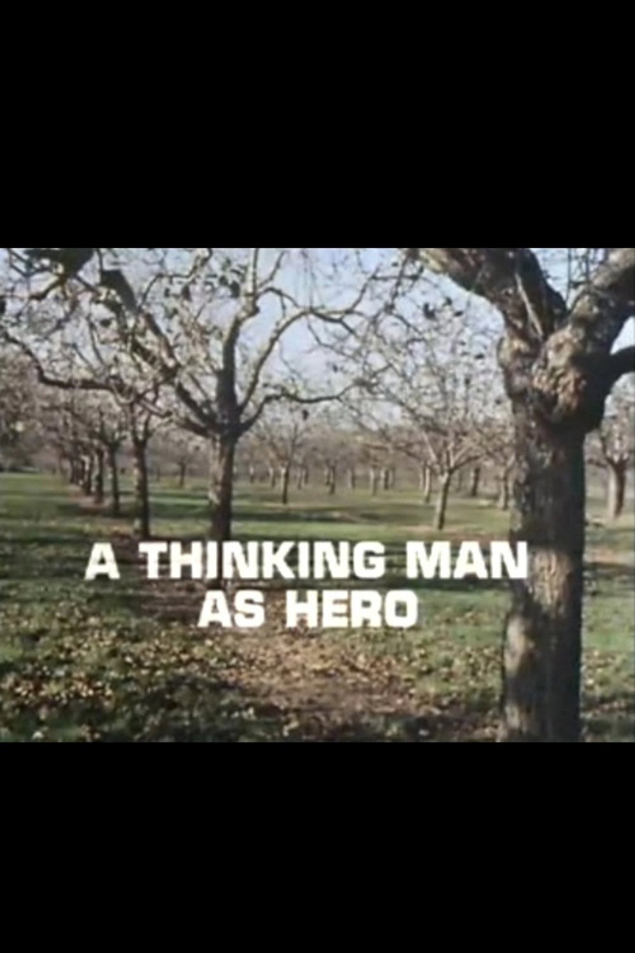 A Thinking Man as Hero Backdrop