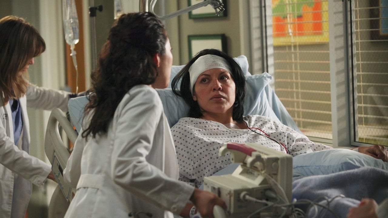 Grey's Anatomy - Season 7 Episode 19 : It's a Long Way Back