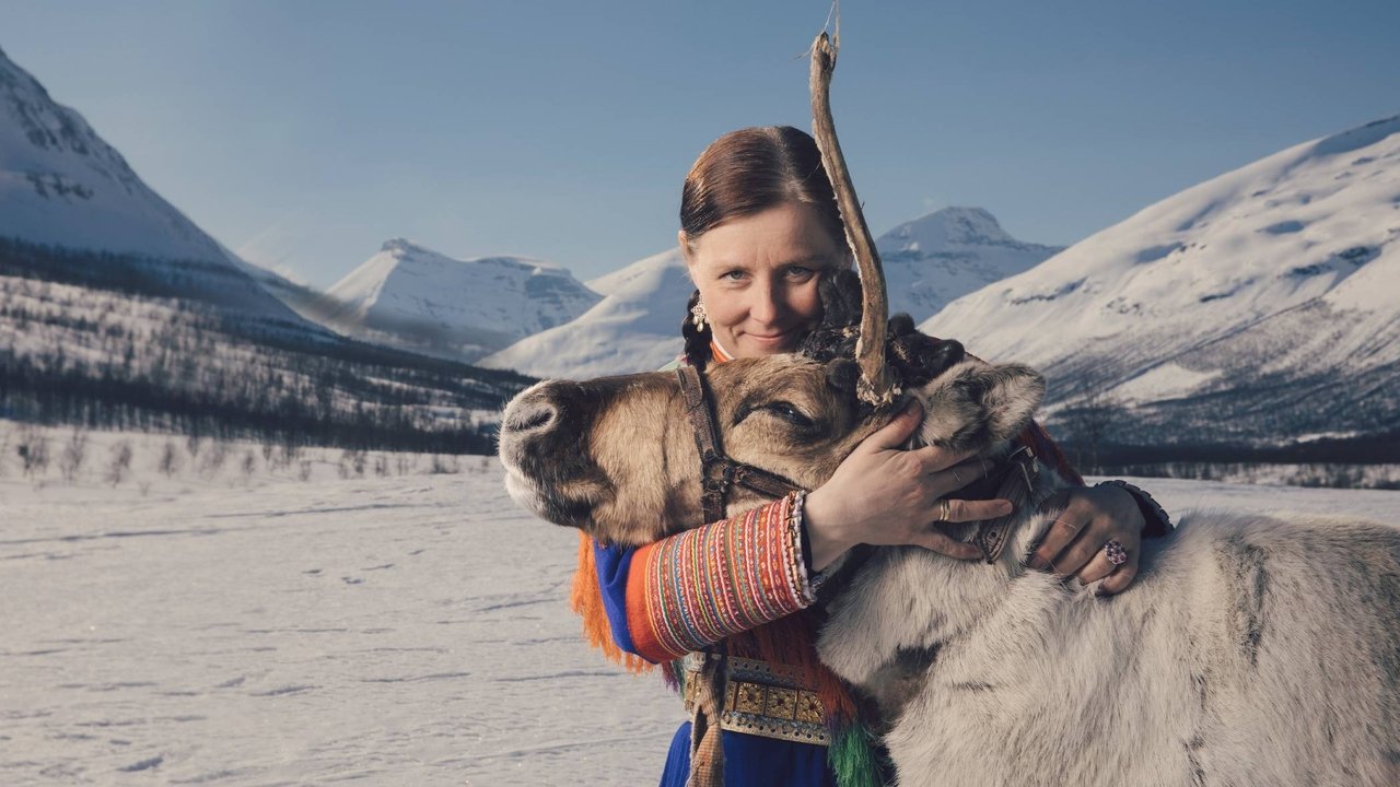 The Pursuit of the Northern Lights