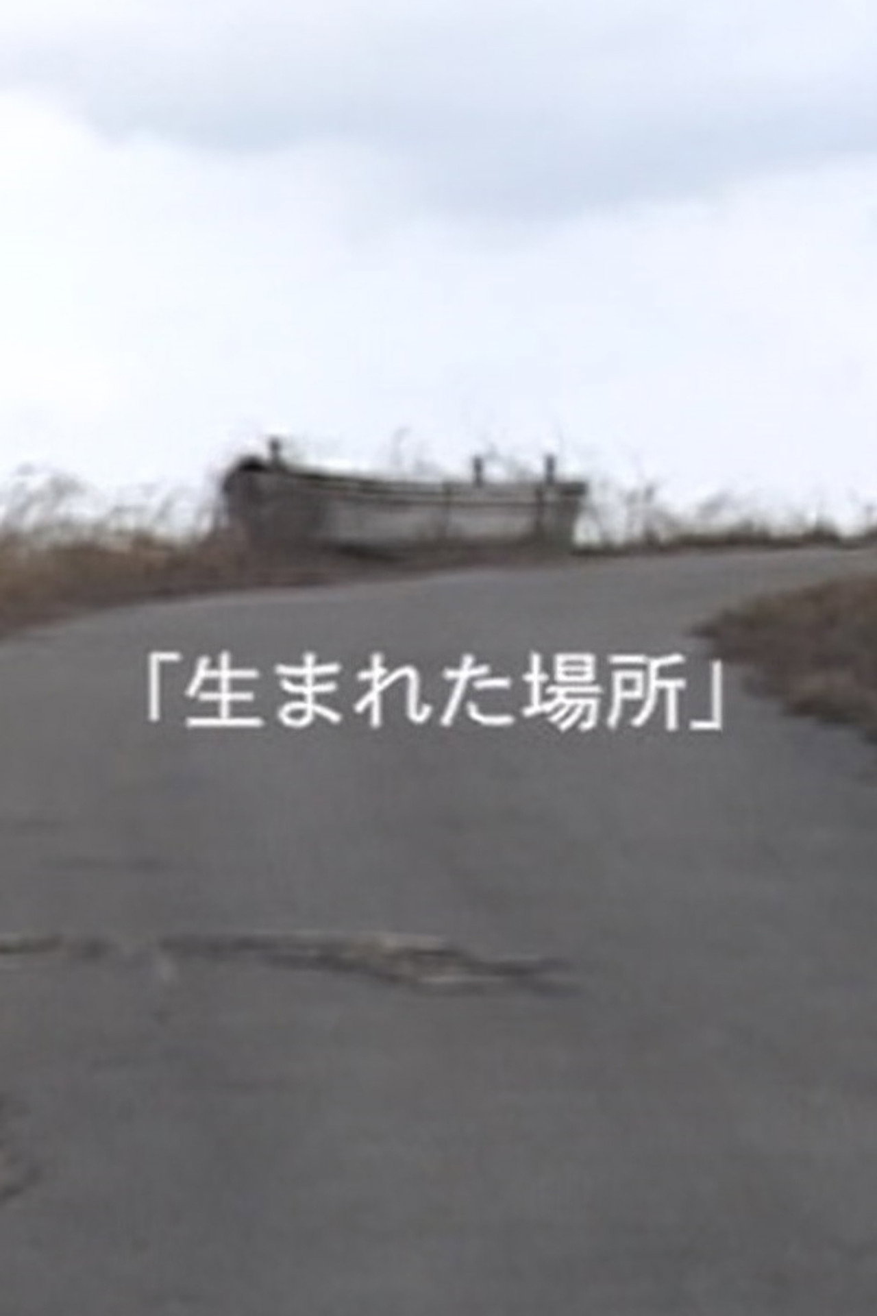 生まれた場所 filmaffisch