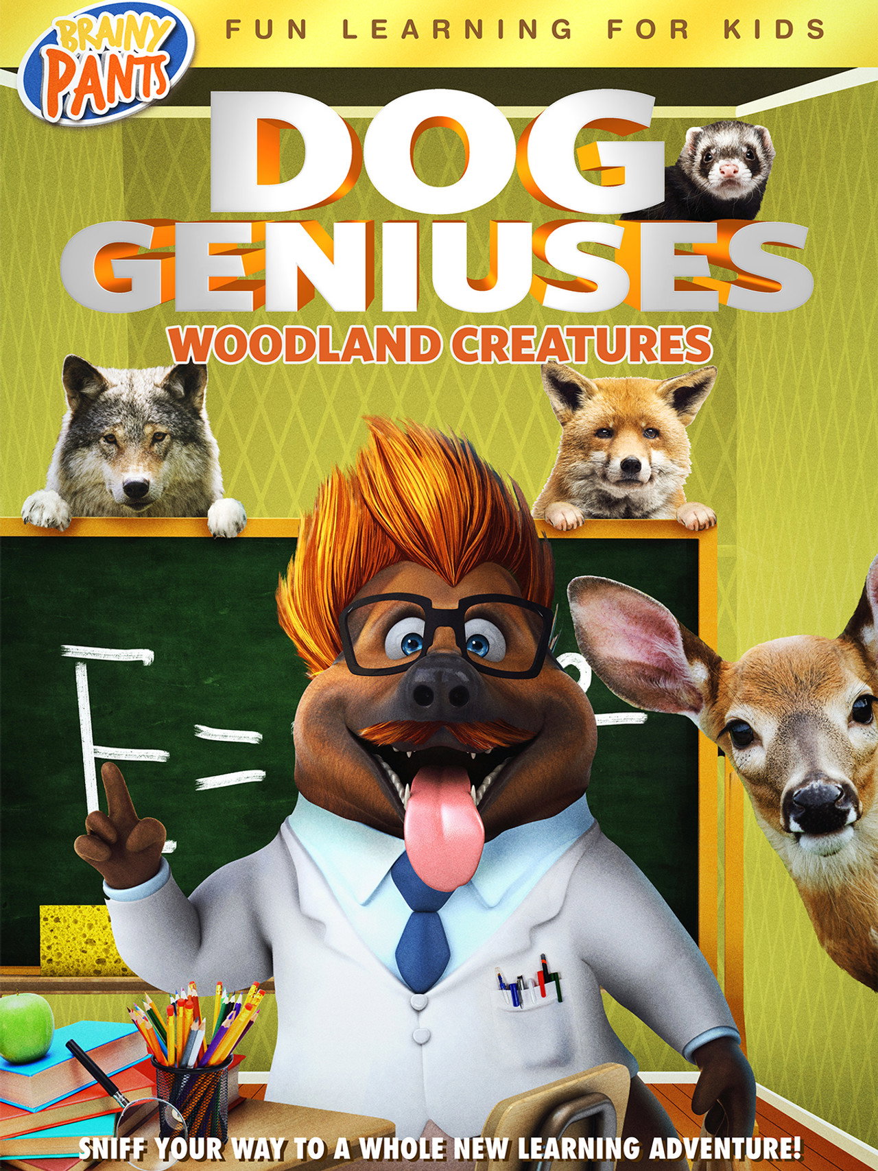 Dog Geniuses: Woodland Creatures Backdrop